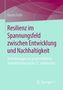 Karim Fathi: Resilienz im Spannungsfeld zwischen Entwicklung und Nachhaltigkeit, Buch