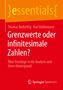 Karl Kuhlemann: Grenzwerte oder infinitesimale Zahlen?, Buch