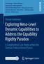 Florian Andresen: Exploring Meso-Level Dynamic Capabilities to Address the Capability Rigidity Paradox, Buch