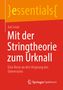 Jan Louis: Mit der Stringtheorie zum Urknall, Buch