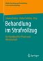 Behandlung im Strafvollzug, Buch