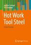 Till Schneiders: Hot Work Tool Steel, Buch