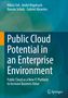 Niklas Feil: Public Cloud Potential in an Enterprise Environment, Buch