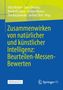 Zusammenwirken von natürlicher und künstlicher Intelligenz: Beurteilen-Messen-Bewerten, Buch