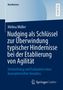 Melina Müller: Nudging als Schlu¿ssel zur Überwindung typischer Hindernisse bei der Etablierung von Agilität: Entwicklung und Evaluation eines konzeptionellen Ansatzes, Buch