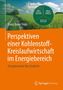 Franz Xaver Trieb: Perspektiven einer Kohlenstoffkreislaufwirtschaft im Energiebereich, Buch