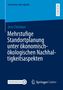 "Mehrstufige Standortplanung unter ökonomisch-ökologischen Nachhaltigkeitsaspekten" von Jens Christian, blaues Cover.