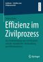 Titel: "Effizienz im Zivilprozess". Tobias Duhe. Thema: Strukturierung von Schriftsätzen und Verhandlungen per Videokonferenz., Buch