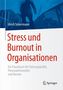 Ulrich Scherrmann: Stress und Burnout in Organisationen, Buch