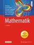 Tilo Arens: Mathematik, Buch