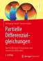 Karsten Urban: Partielle Differenzialgleichungen, Buch