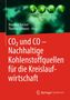 : CO2 und CO - Nachhaltige Kohlenstoffquellen für die Kreislaufwirtschaft, Buch