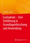 Judith M. Schicks: Gashydrate - Eine Einführung in Grundlagenforschung und Anwendung, Buch