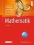 Tilo Arens: Mathematik, Buch