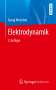 Georg Wolschin: Elektrodynamik, Buch