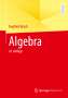 Siegfried Bosch: Algebra, Buch