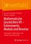 Werner Schindler: Mathematische Geschichten VII ¿ Extremwerte, Modulo und Beweise, Buch