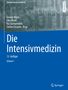 Die Intensivmedizin, 2 Bücher