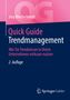 Jörg Blechschmidt: Quick Guide Trendmanagement, Buch