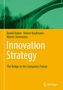 Daniel Huber: Innovation Strategy, Buch