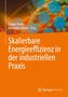 "Skalierbare Energieeffizienz in der industriellen Praxis" in Weiß auf orange. Bunte Kreise im Hintergrund. Springer-Logo.