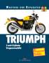 Matthew Coombs: Triumph 3- und 4-Zylinder, Buch