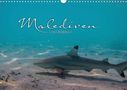 Clave Rodriguez Photography: Unterwasserwelt der Malediven I (Wandkalender 2020 DIN A3 quer), Div.