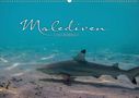 Clave Rodriguez Photography: Unterwasserwelt der Malediven I (Wandkalender 2020 DIN A2 quer), Div.