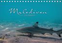 Clave Rodriguez Photography: Unterwasserwelt der Malediven I (Tischkalender 2020 DIN A5 quer), Div.