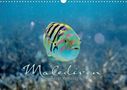 Clave Rodriguez Photography: Unterwasserwelt der Malediven II (Wandkalender 2020 DIN A3 quer), Diverse