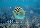 Clave Rodriguez Photography: Unterwasserwelt der Malediven II (Tischkalender 2020 DIN A5 quer), Div.