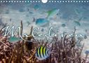 Clave Rodriguez Photography: Unterwasserwelt der Malediven III (Wandkalender 2020 DIN A4 quer), Div.