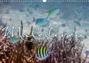 Clave Rodriguez Photography: Unterwasserwelt der Malediven III (Wandkalender 2020 DIN A3 quer), Div.
