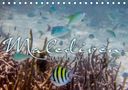 Clave Rodriguez Photography: Unterwasserwelt der Malediven III (Tischkalender 2020 DIN A5 quer), Div.
