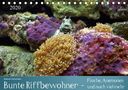 Bianca Schumann: Bunte Riffbewohner - Fische, Anemonen und noch viel mehr (Tischkalender 2020 DIN A5 quer), Diverse