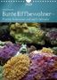 Bianca Schumann: Bunte Riffbewohner - Fische, Anemonen und noch viel mehr (Wandkalender 2020 DIN A4 hoch), Diverse