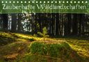 Marcel Wenk: Zauberhafte Waldlandschaften (Tischkalender 2020 DIN A5 quer), Div.