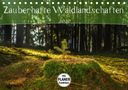 Marcel Wenk: Zauberhafte Waldlandschaften (Tischkalender 2020 DIN A5 quer), Div.