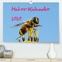Bernd Witkowski: Makro-Kalender 2020(Premium, hochwertiger DIN A2 Wandkalender 2020, Kunstdruck in Hochglanz), Div.