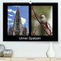 K. A. Kattobello: Ulmer Spatzen(Premium, hochwertiger DIN A2 Wandkalender 2020, Kunstdruck in Hochglanz), Div.