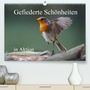 Rolf Pötsch: Gefiederte Schönheiten in Aktion(Premium, hochwertiger DIN A2 Wandkalender 2020, Kunstdruck in Hochglanz), Diverse