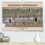Rolf Pötsch: Gefiederte Schönheiten - Wildgänse in Norddeutschland(Premium, hochwertiger DIN A2 Wandkalender 2020, Kunstdruck in Hochglanz), Diverse