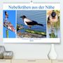Henning von Löwis of Menar: Nebelkrähen aus der Nähe - Faszinierende Vögel am Kurischen Haff(Premium, hochwertiger DIN A2 Wandkalender 2020, Kunstdruck in Hochglanz), Div.