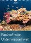 Bianca Schumann: Farbenfrohe Unterwasserwelt (Wandkalender 2020 DIN A4 hoch), Diverse