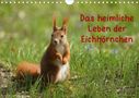 K. A. Kattobello: Das heimliche Leben der Eichhörnchen (Wandkalender 2021 DIN A4 quer), KAL