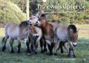 Michael Thoma: Przewalskipferde (Wandkalender 2021 DIN A3 quer), Div.