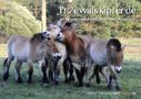 Michael Thoma: Przewalskipferde (Wandkalender 2021 DIN A2 quer), Div.