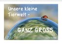Sabine Schmidt: Unsere kleine Tierwelt - GANZ GROSS (Wandkalender 2021 DIN A3 quer), Div.