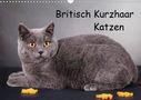 Gabriela Wejat-Zaretzke: Britisch Kurzhaar Katzen (Wandkalender 2021 DIN A3 quer), KAL