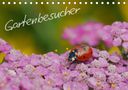Gerhard Müller: Gartenbesucher (Tischkalender 2021 DIN A5 quer), Div.